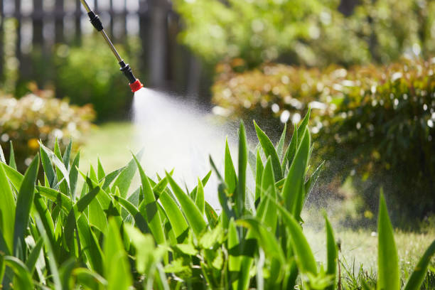 24/7 Emergency Fumigation Services experts in Oglala, SD